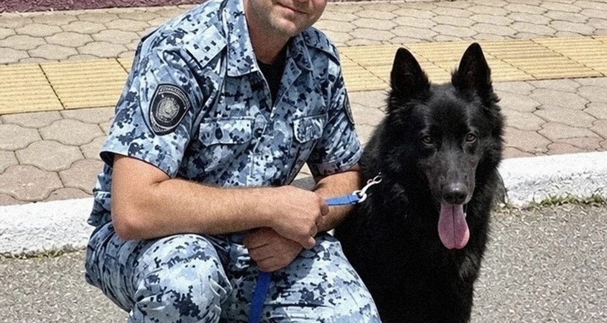 Служебный пёс Аякс уже три года несёт службу в полиции Горячего Ключа