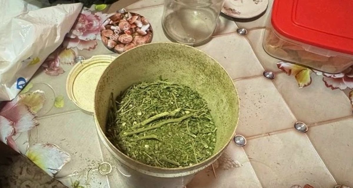 В ведре жителя хутора Тельман нашли 200 граммов марихуаны